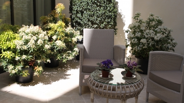 My Home in Paris - Bar